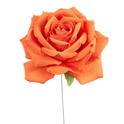PICK ROSA ELEONORE ORANGE D15